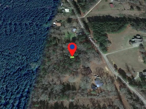 0 Plowman Rd, Gordo, AL 35466