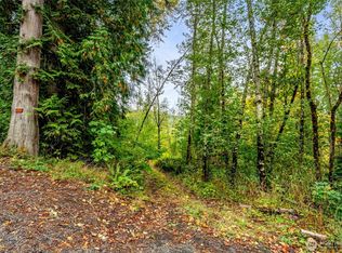 0 Mineral Hill Road, Mineral, WA 98356
