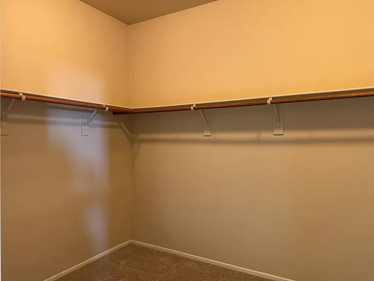 Master walk-in closet