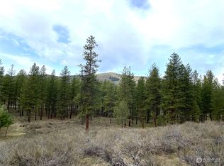 115 Twin Lakes Dr, Winthrop, WA 98862