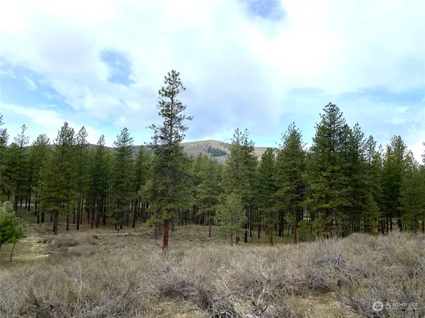 115 Twin Lakes Drive, Winthrop, WA 98862