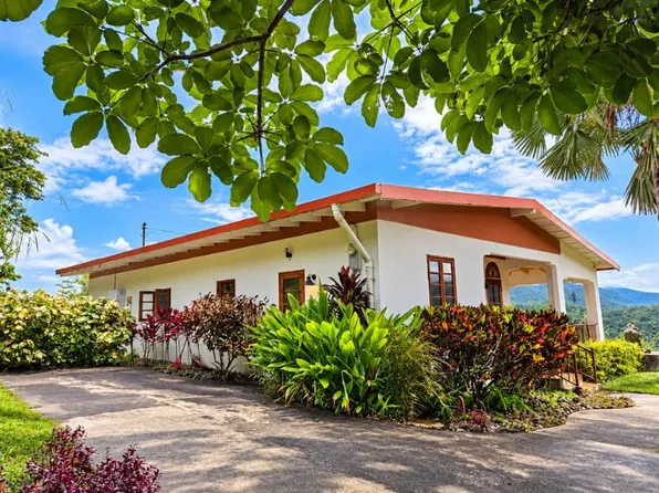 Carr 612 Don Alonso, Utuado, PR 00641