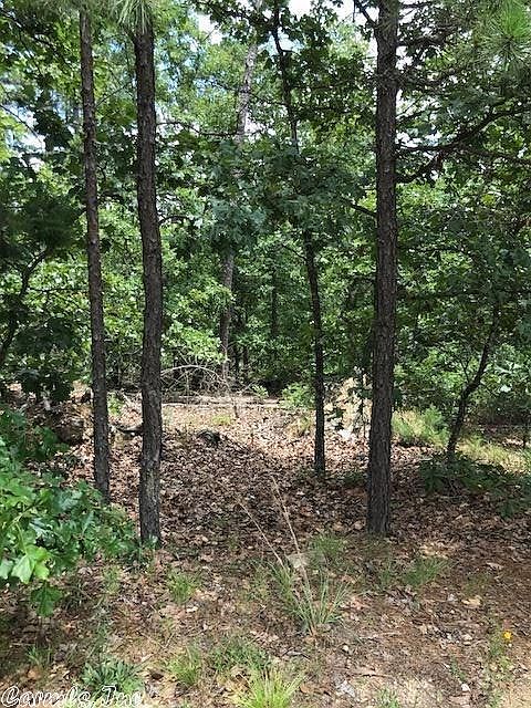 1st image of 14 Capricho Ln