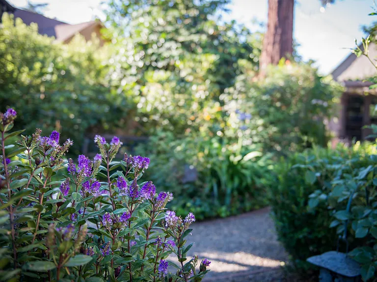 704 Johnson St — Photo 14