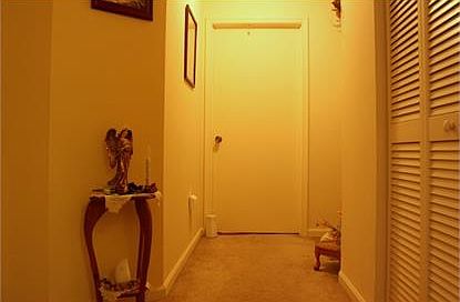 2nd image of 870 Honeybrook Cir