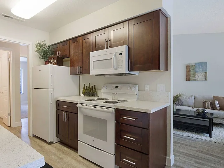 1x1 Remodel Appliances