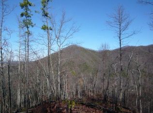 101 Springfield Ln, Jonesborough, TN 37659