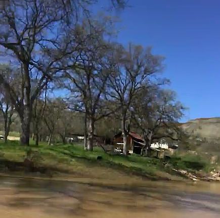 Seasonal Pond w/island 