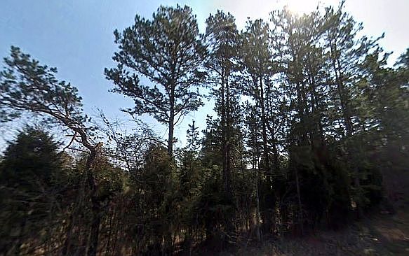 2nd image of 7184 State Highway 96