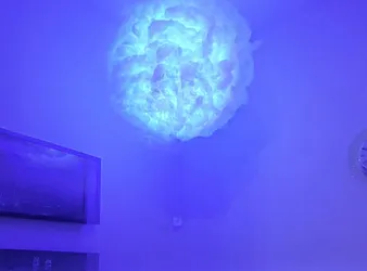 Rented by The Shoppe