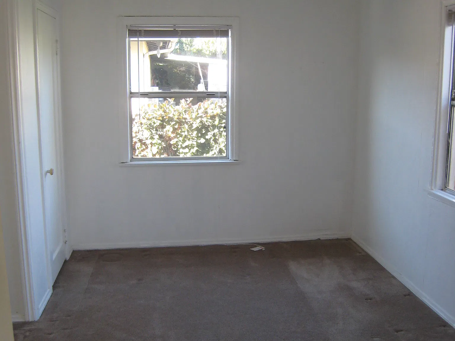 3 bed, 1.5 bath, 1146 sqft, $2,850 — Photo 4