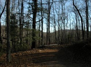 811 Eastside Duck Mountain Rd, Scaly Mountain, NC 28775