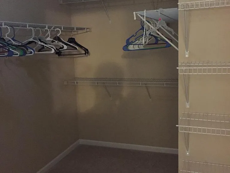 453 Misty Meadow Pl — Photo 13