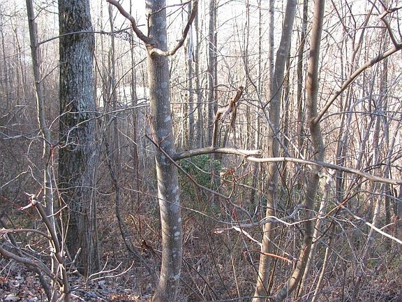 5th image of Chancey Dr #97