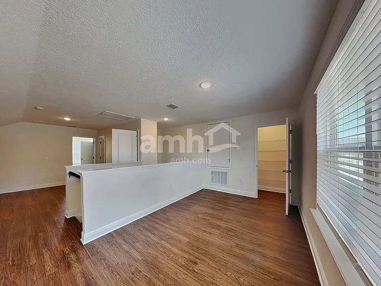 1367 Celery Palm Cv — Photo 11