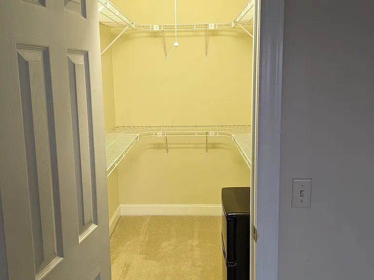 View of the room's walk-in closet, including the mini fridge.