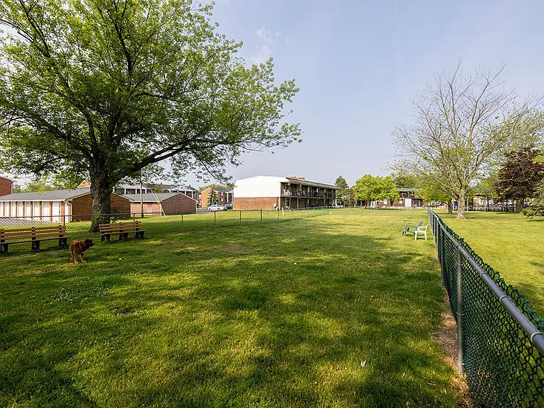 Town Hall Terrace — Photo 51
