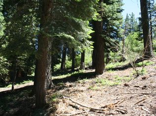 11911 Skislope Way, Truckee, CA 96161