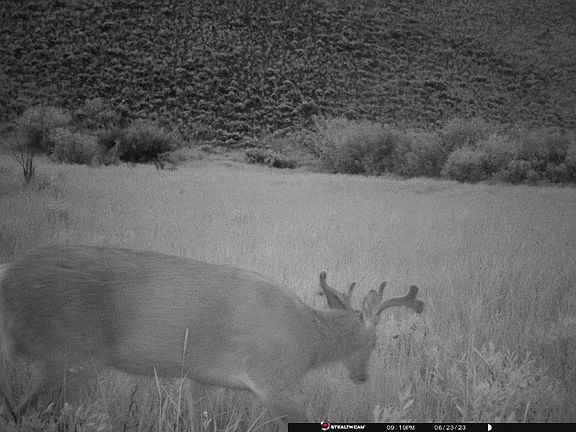 5th image of Nhn North Camp Creek Rd