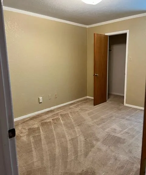 2410 Windy Pine Ln — Photo 8