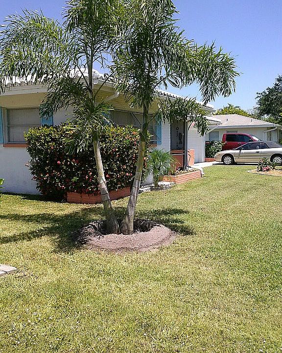 2nd image of 4224 Palm Tree Blvd
