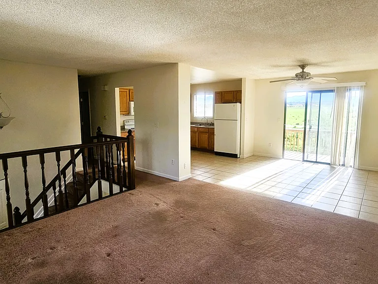 1617 Centaur Cir — Photo 3