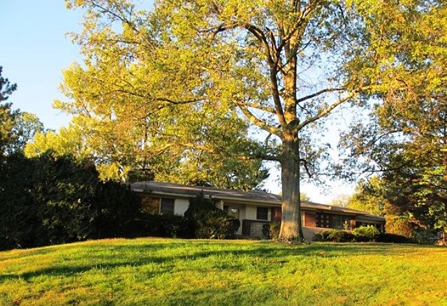 1st image of 343 Whitthorne Dr