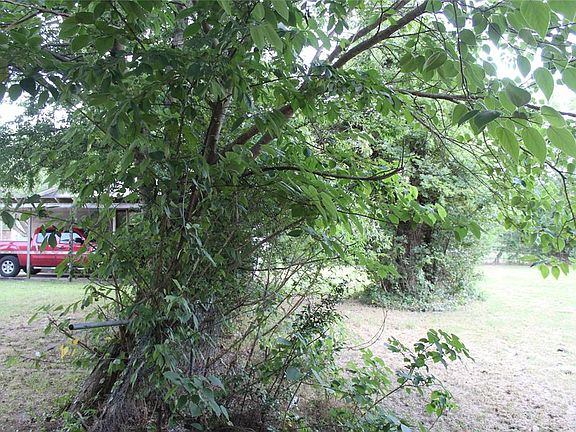 5th image of 127 S Acres Dr