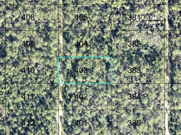 403 YEAGER AVENUE, HASTINGS, FL 32145