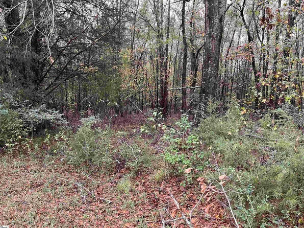 1 Evergreen Church Rd, Starr, SC 29684