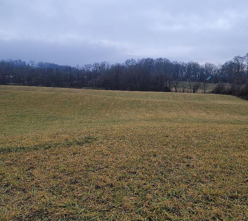 2nd image of 0 Bulldog Miller Rd