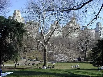 Rented by Buchbinder & Warren