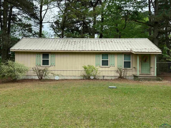 18168 E County Road 2187, Tatum, TX 75691