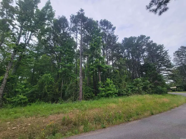 266 Mariposa Loop, Bee Branch, AR 72013