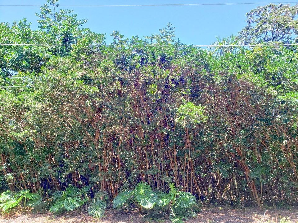1st image of Opakapaka St Lot 6