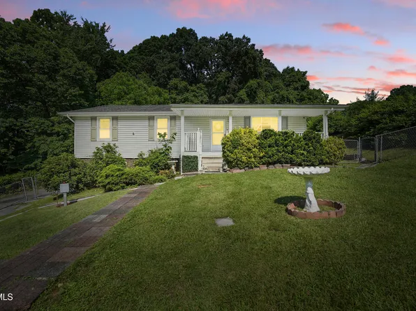 529 Hiwassee St, Mount Carmel, TN 37645