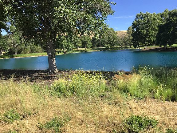 4th image of 1255 Lions Peak Ln