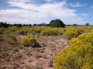0 Bar Nothing Ranch Rd #409, Chambers, AZ 86502
