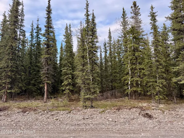 L14b9 Pringle Rd, Tok, AK 99780