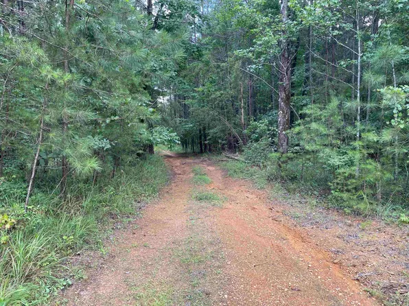 0 County Road 24, Eldridge, AL 35554