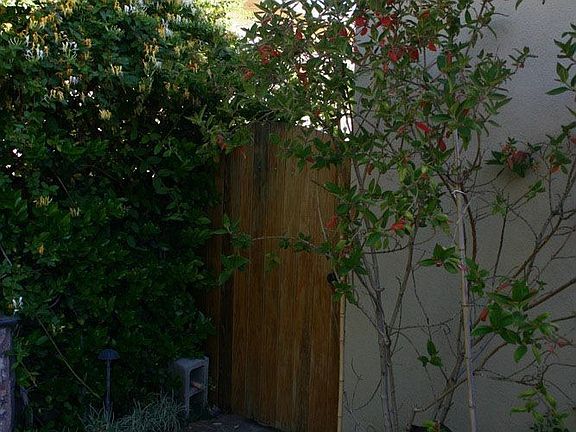 4th image of 3705 Tilden Ave