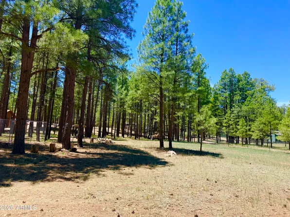 2378 BLUE RIDGE Drive #479, Happy Jack, AZ 86024