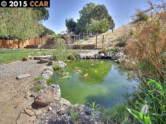 Relax to the sound of the water falling into a Large Koi pond!!