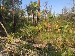 2025 Castleton Ter, Labelle, FL 33935