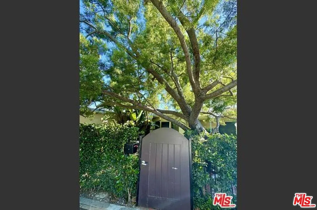 2 bed, 1.0 bath, $4,950 — Photo 3