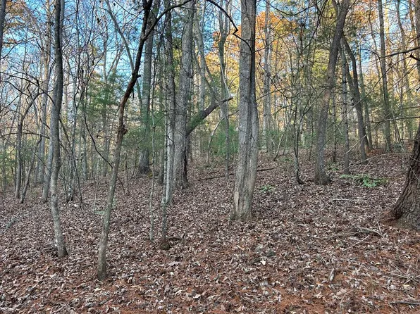 15 Tombstone Dr, Blairsville, GA 30512