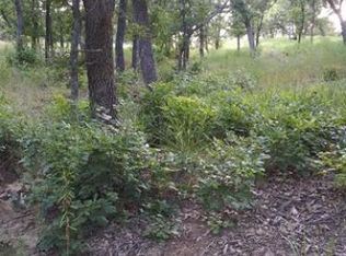 Phillips Ct, Bridgeport, TX 76426