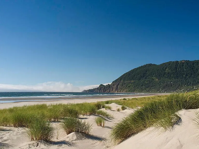 Endless sand with Nea-Kah-Nie Mountain in the background