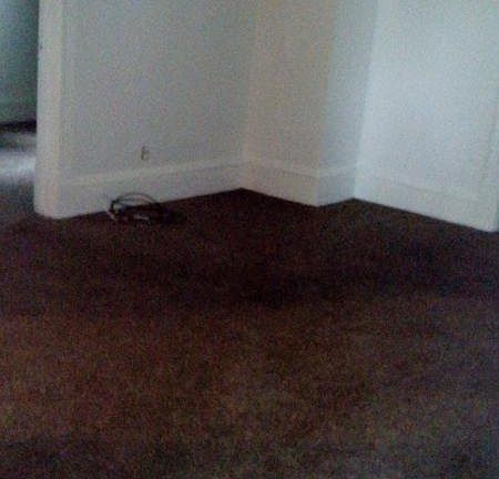 4th image of 226 W 20th St Floor 1
