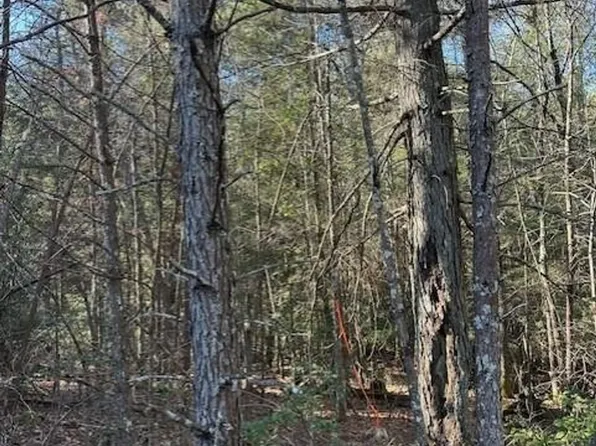 5 50th Ave, Gruetli Laager, TN 37339